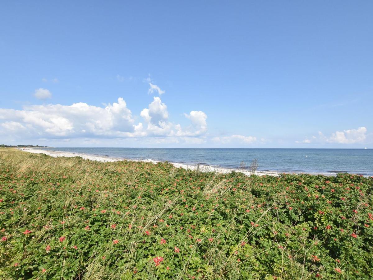 Charming Apartment In Pugholz Near Sea Hasselberg  Kültér fotó